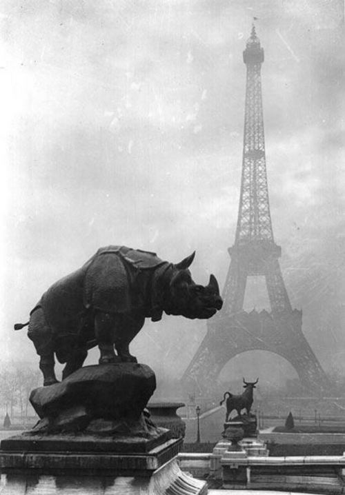Paris, 1920-ci il