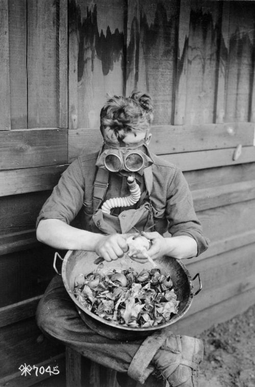 Amerika əsgəri Kaliforniyadakı hərbi bazada əleyhqazla soğan təmizləyir. ABŞ, 1918-ci ilin martı