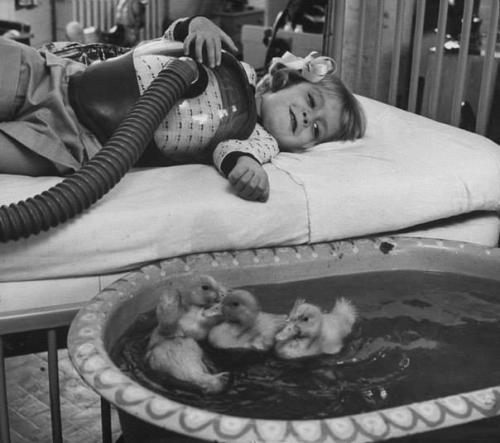 Heyvanlar, uşaq terapiyasının vasitəsi kimi, 1956-cı il