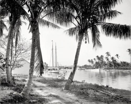 Mayami, Florida, 1904-cü il