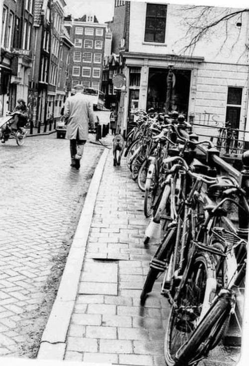 Velopark. Amsterdam, Hollandiya, 1978-ci il
