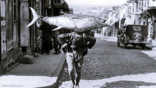 İstanbul, Türkiyə, 1951-ci il