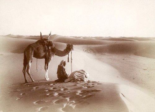 Şimali Afrika, Sahara səhrası, 1911-ci il