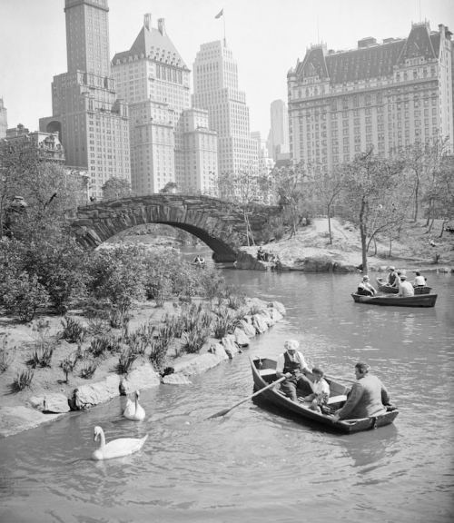 Mərkəzi park. Nyu-York, 1933-cü il