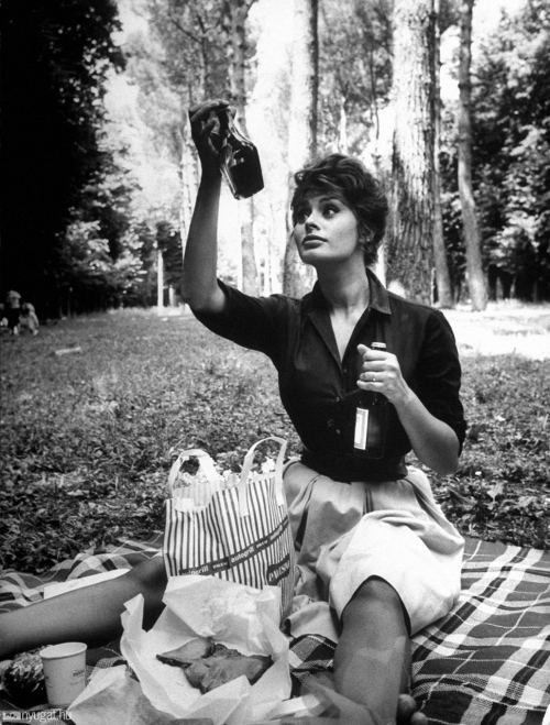 Sofi Loren piknikdə, 1961-ci il