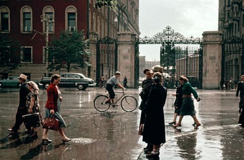 Yağışdan sonra Moskva, 1950-ci illər
