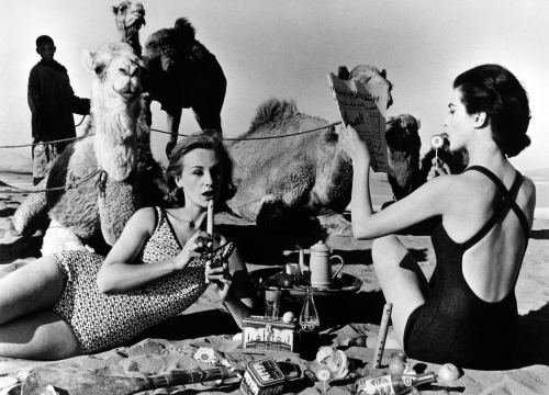 Dəvələrlə piknik, 1958-ci il