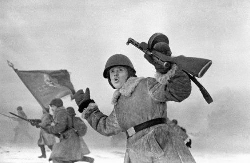 Leninqrad müdafiəçiləri, 1943-cü il