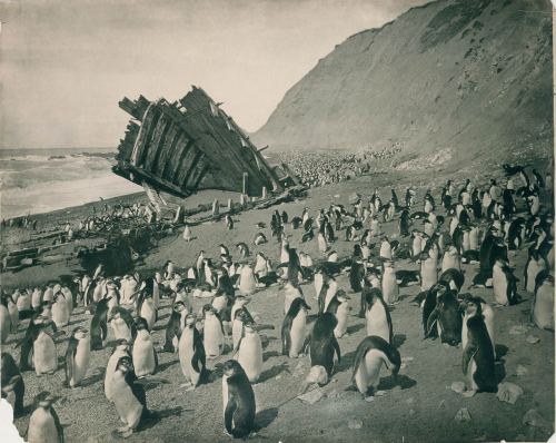 Antarktida, 1911-ci il