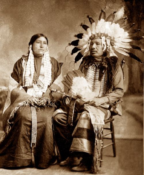 Amerika yerliləri