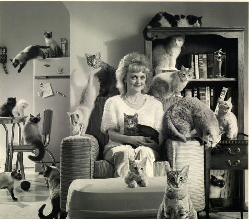 Yaşlı qadın pişikləri ilə. ABŞ, 1960-cı illər