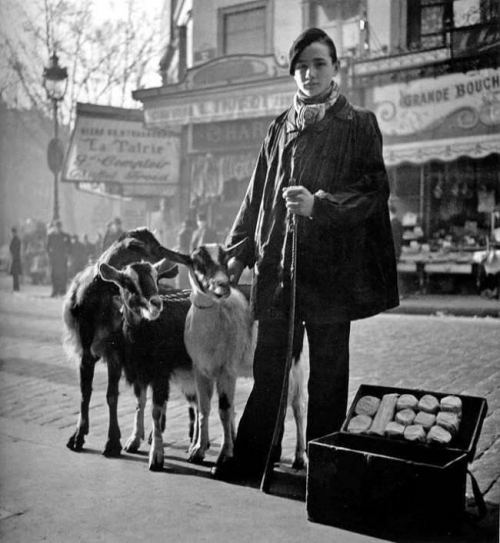 Çoban oğlan küçədə keçi pendiri satır. Paris, Fransa. Yaz, 1935-ci il
