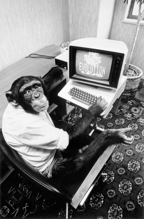Şimpanze kompüterdə "Təkamül" oyununu oynayır. ABŞ, 1983-cü il