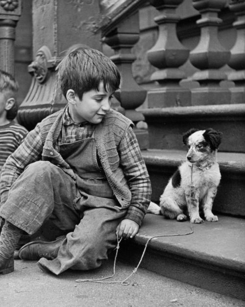 Kiçik uşaq iti ilə. Nyu-York, 1948-ci il