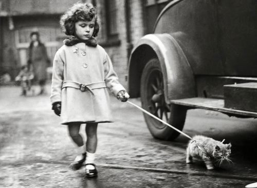 Kiçik qız pişiyi ilə, London, 1931-ci il