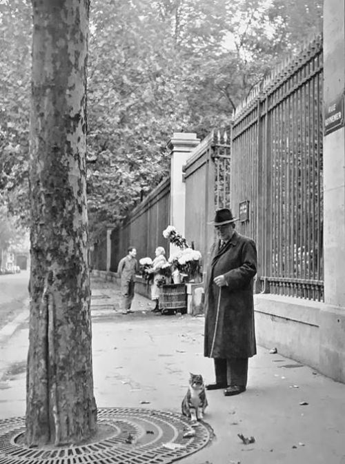 Parisdə bir gün, 1950-ci illər
