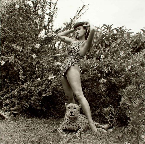 Betti Peyc və gepard, 1954-cü il