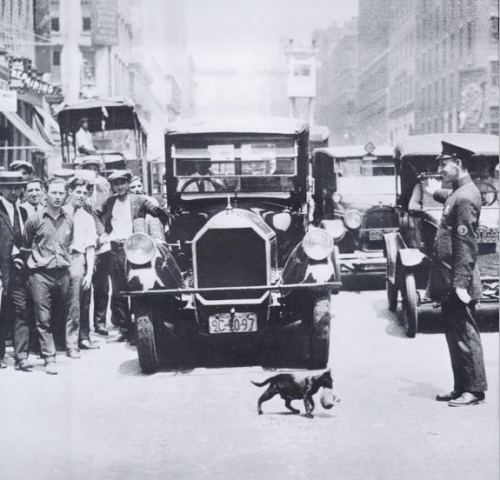 Ana pişik hərəkəti dayandırır, Nyu-York, 1925-ci il