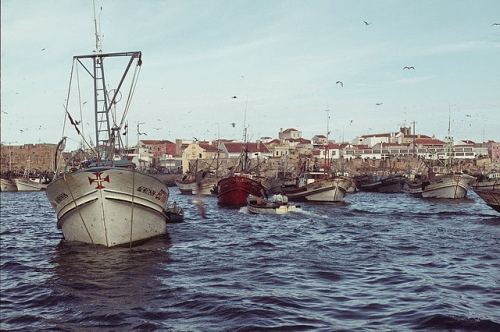 Portuqaliya, 1972-ci il
