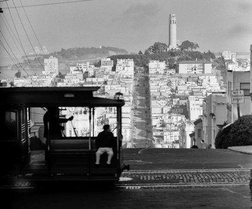 San-Fransisko, 1950-ci il