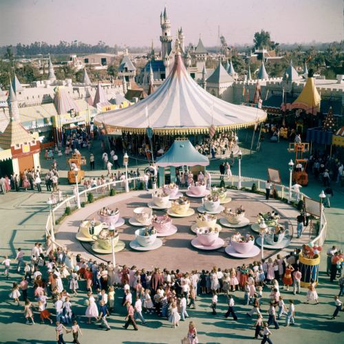 Disneylənd, 1955-ci il