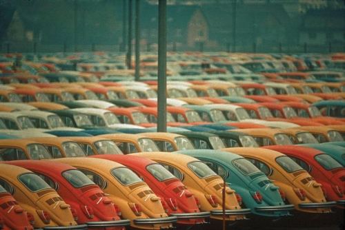 Təzə Volkswagen markalı avtomobillər satışa hazırdır, 1972-ci il