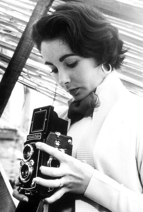 Elizabet Teylor, 1950-ci il
