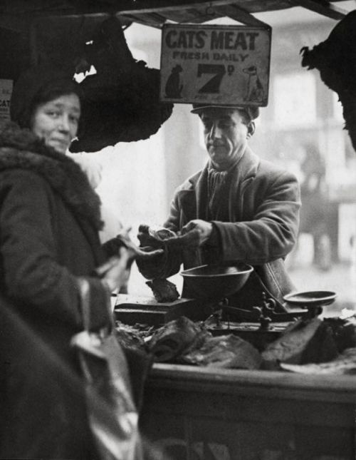 Pişik əti satıcısı. London, 1933-cü il