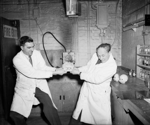 Oyuncaq fabrikinin işçiləri kuklaların möhkəmliyini yoxlayırlar. London, 1953-cü il