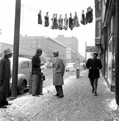 Dovşan satışı, 1948-ci il