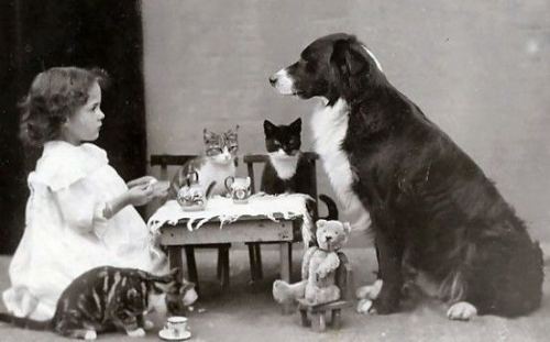 Çay zamanı, 1900-cü illər